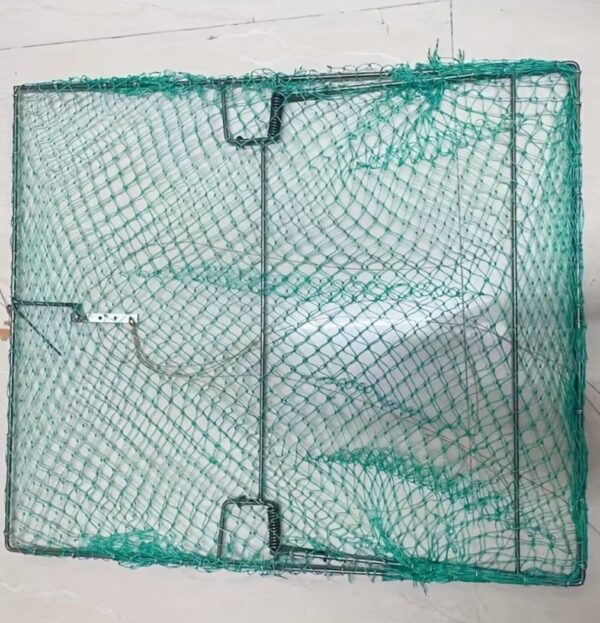 فخ صيد الطيور